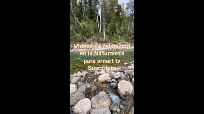 Relaxing Videos for Meditation