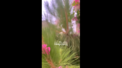 Instant Relaxation: Relaxation Videos