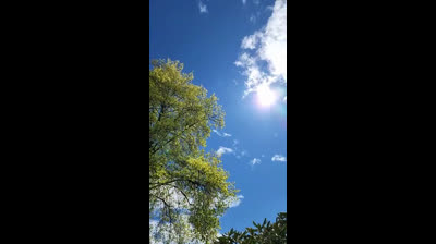 Inner Peace: Relaxation Videos