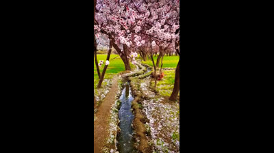 Vídeos Relaxantes para o Fim de Semana