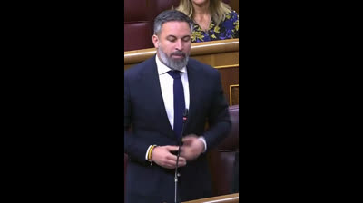 VOX está personado en los dos casos de presunta corrupción, tráfico de influencias y fraude a la hacienda pública