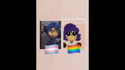 What dose these colors mean!? ??