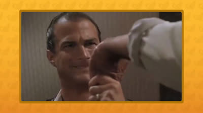 Gatos vs. Objetos Caseros: ¡Risas Aseguradas!