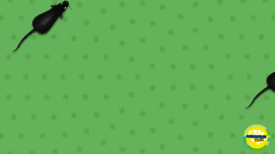 Gatos atrapados en situaciones ridículas