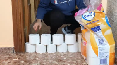 Gatos y sus travesuras en cámara lenta