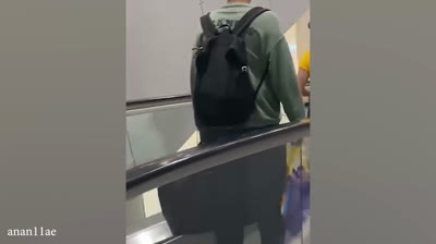 Gatos interactuando con otros animales de manera divertida