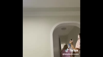 Gatos y sus siestas en los lugares más inusuales