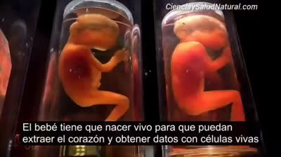 Bebes usados para la experimentación cientifica y fetos usados para la elaboración de estos falsos antidotos, ¡¡¡AQUÍ LAS PRUEBAS DE TODA ESTA ABOMINACIÓN!!!