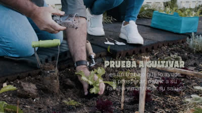 Prueba a cultivar