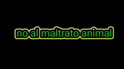 no al maltrato animal