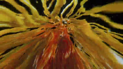 KAIJU  N 8. 10 Saison 1