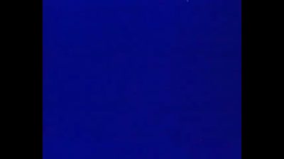 Stanlio & Ollio la gattiuna delicata