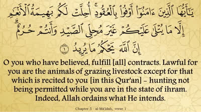 Juz 6 - English Translation of the Noble Quran