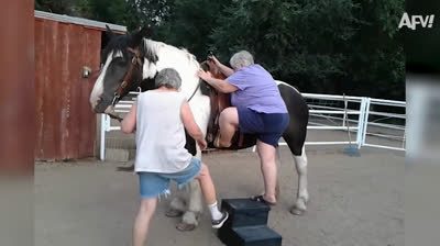 Risadas curtas e contagiantes