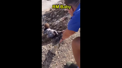 Kurze Videos von Lachen und lustigen Momenten