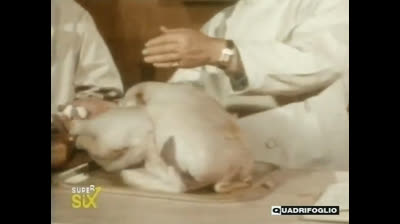 I 3 marmittoni (The New 3 Stooges) epi 85