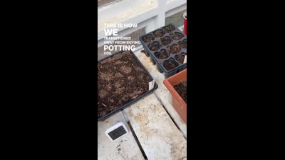 Astuces DIY pour garder vos plantes en bonne santé