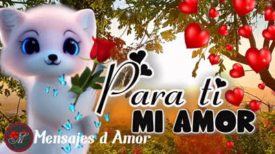 Videos de Amor: Descubre Historias Inspiradoras