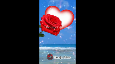 Videos Románticos que Capturan Momentos Especiales