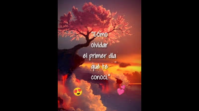 Los Mejores Momentos Capturados en Videos Románticos