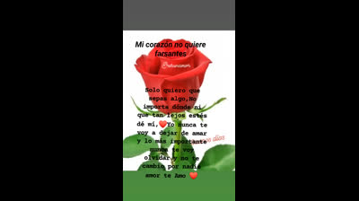 Creando Recuerdos con Videos de Amor y Compromiso