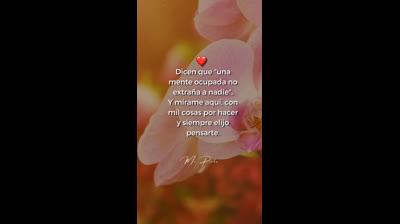 Ideas Innovadoras para Videos Románticos que No Te Puedes Perder