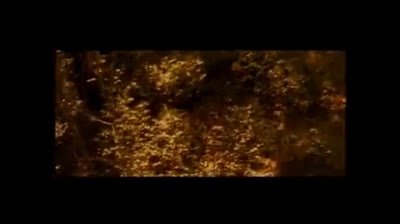 Elisa - Luce (Tramonti a Nord Est)