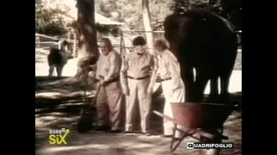 I 3 marmittoni (The New 3 Stooges) epi 91