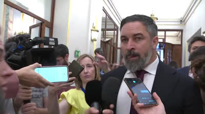 ¿Sr. Abascal, qué le parece que el PP haya asumido su idea de enviar a la Armada a controlar la inmigración ilegal?  -Me parece que el PP está estafando a sus electores.