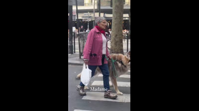 El remedio para evitar ataques y violaciones salir con tu perro a todas partes!!