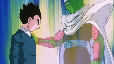 Capitulo 40 - La importante decisión de Piccoro