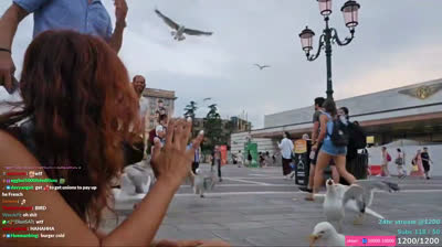 Streamerin wird live von Vögeln angegriffen