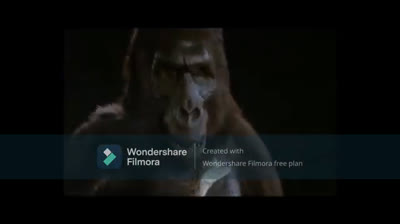 the terror of africa