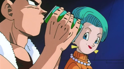 Capitulo 55 - El plan de Vegeta y Bulma