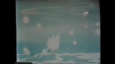 La Balena Giuseppina epi 13