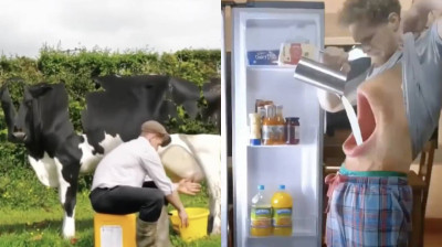 Creazioni animate di livello PRO!!!