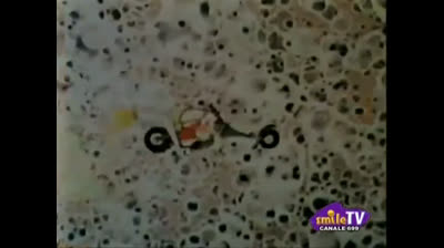 I Gatti Di Cattanooga  epi 18