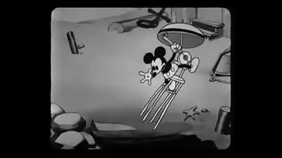 topolino tra le foche