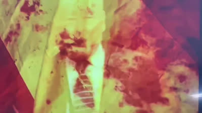 Los invasores que están destruyendo nuestro país en cuanto tienen un papel se creen que son más españoles que los propios!