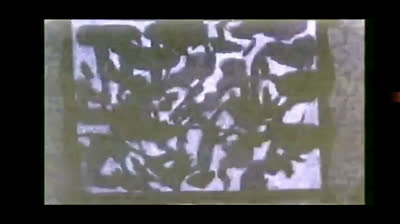 Stanlio & Ollio - Un Vero Artista