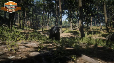 Oso, ciervos y peces