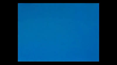 Bugs Bunny - Coniglio Hawaiano