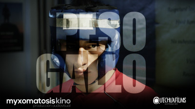 Tráiler de "Peso Gallo"