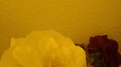 THIS IS A PUBLIC ANNOUNMCEMENT PLEASE DON'T BE NAGETIVE TO US WE DON'T DO ANYTHING.