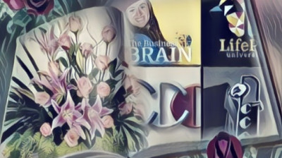 The business brain podcast by ST Rappaport of LifePix University. A Fun-tastic Workplace Culture with Richard Blank.